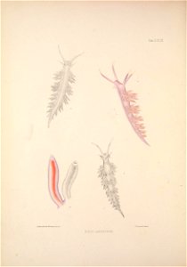 n361_w1150