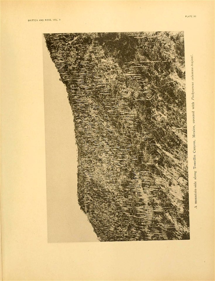 n114_w1150