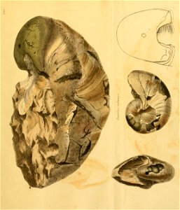n160_w1150