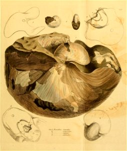 n158_w1150
