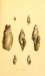 n128_w1150