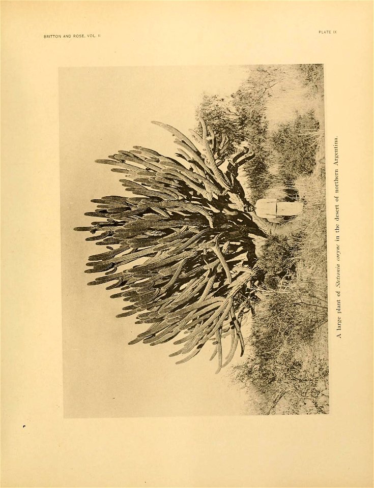 n96_w1150
