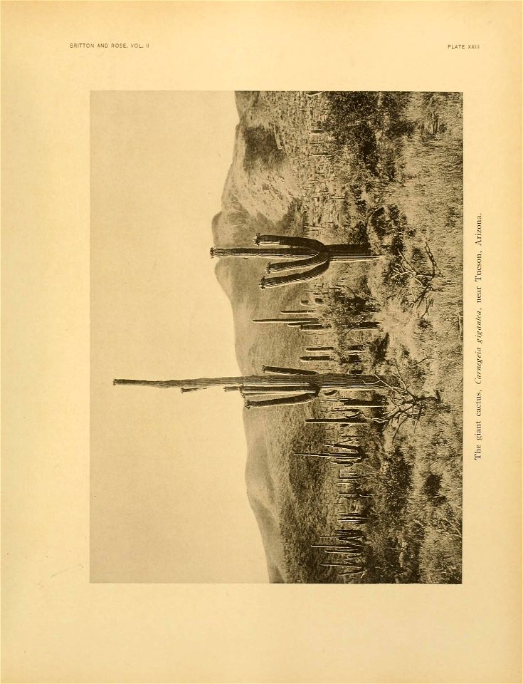 n226_w1150