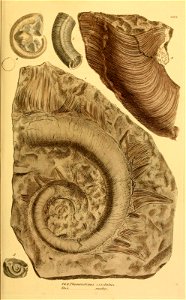 n152_w1150