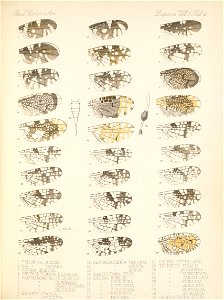n512_w1150