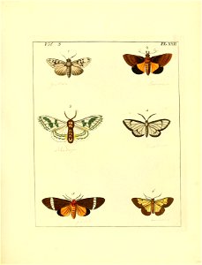 n106_w1150