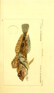 n152_w1150