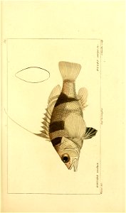 n88_w1150