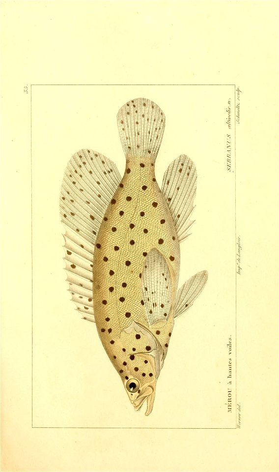 n58_w1150