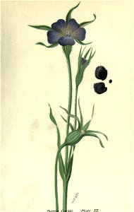 n54_w1150