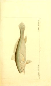 n204_w1150