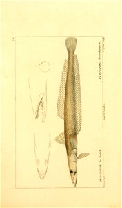 n114_w1150