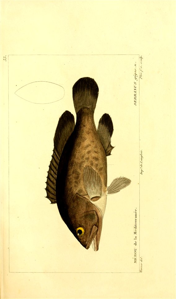 n54_w1150