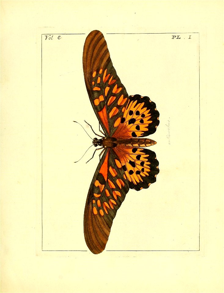 n36_w1150