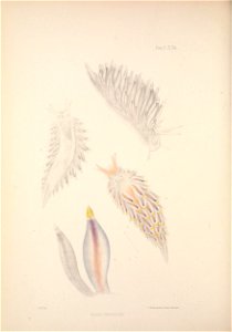 n423_w1150