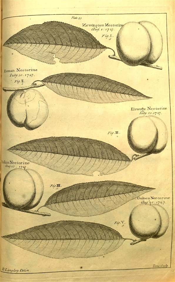 n191_w1150