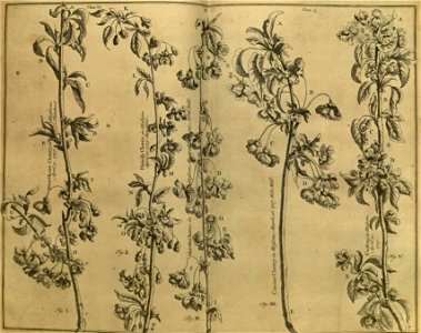 n176_w1150