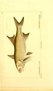 n120_w1150