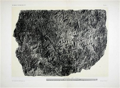 n68_w1150