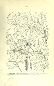 n14_w1150