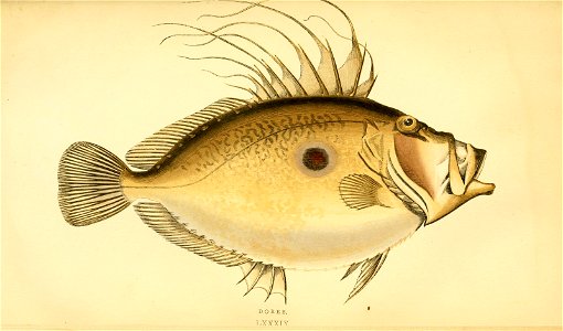 n192_w1150