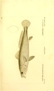 n206_w1150
