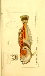 n116_w1150