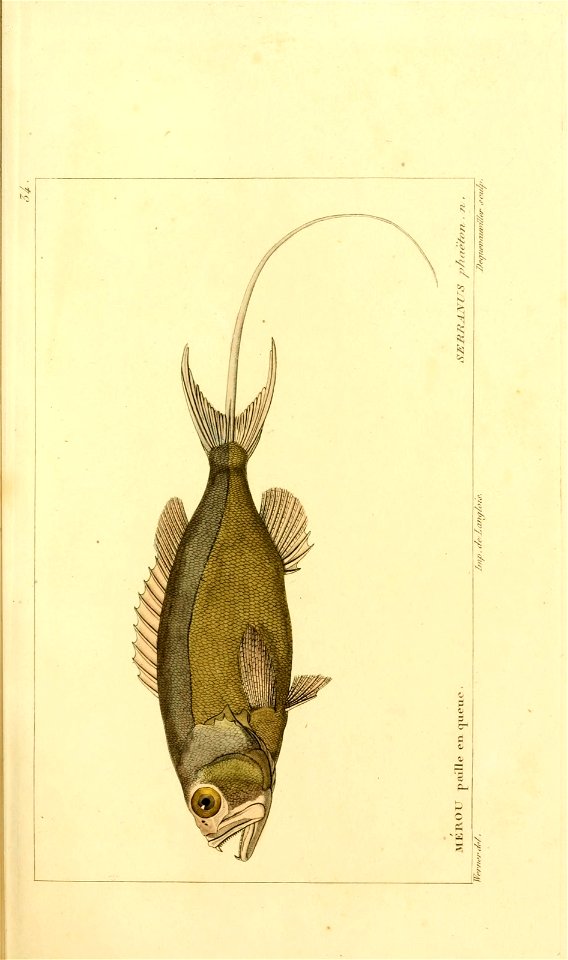 n56_w1150