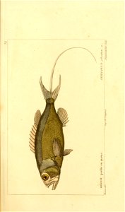 n56_w1150