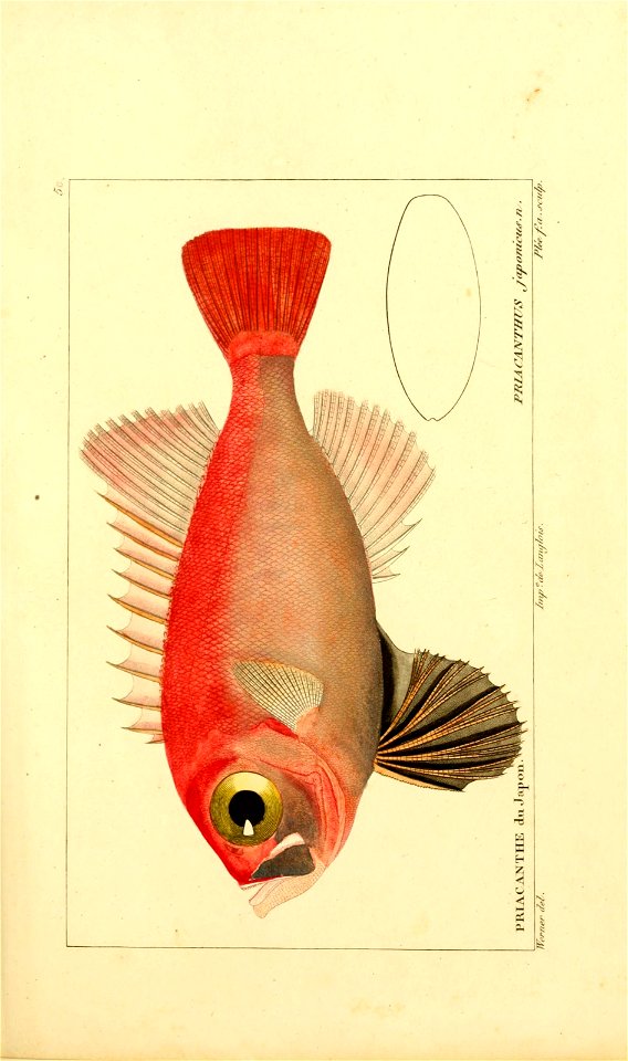 n86_w1150