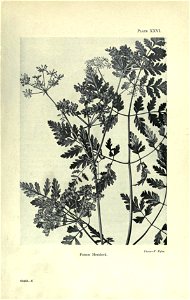 n98_w1150