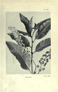 n52_w1150