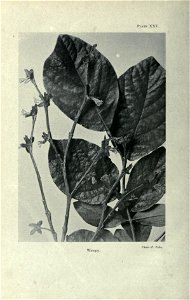 n95_w1150