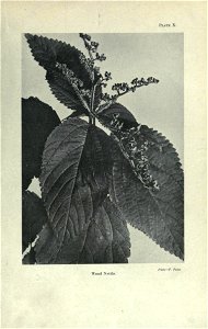 n50_w1150