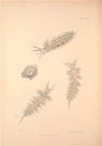 n397_w1150