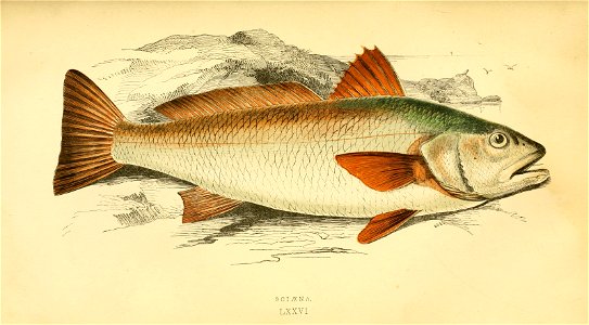 n102_w1150
