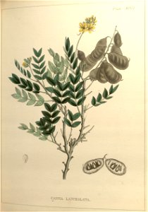 n59_w1150