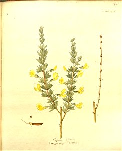n379_w1150