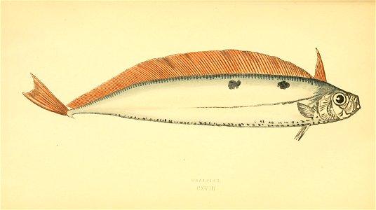 n377_w1150