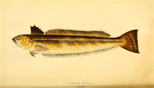 n85_w1150