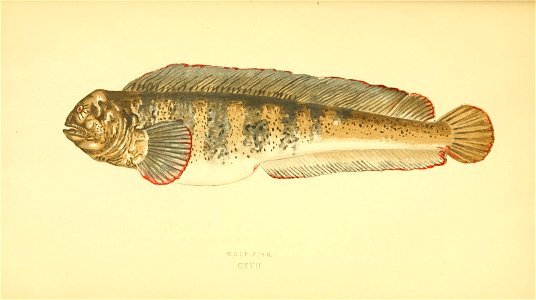 n371_w1150