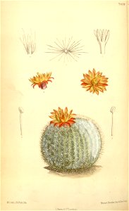 n114_w1150