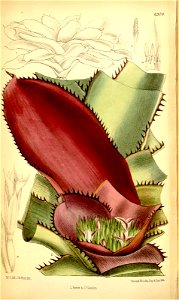 n157_w1150