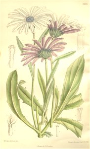 n94_w1150