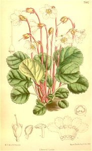 n153_w1150