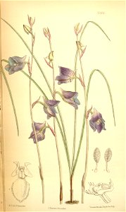 n105_w1150