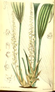 n58_w1150