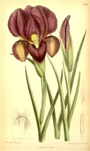 n54_w1150