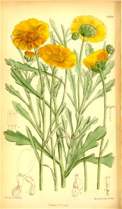n55_w1150