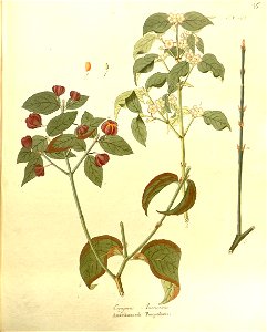 n69_w1150